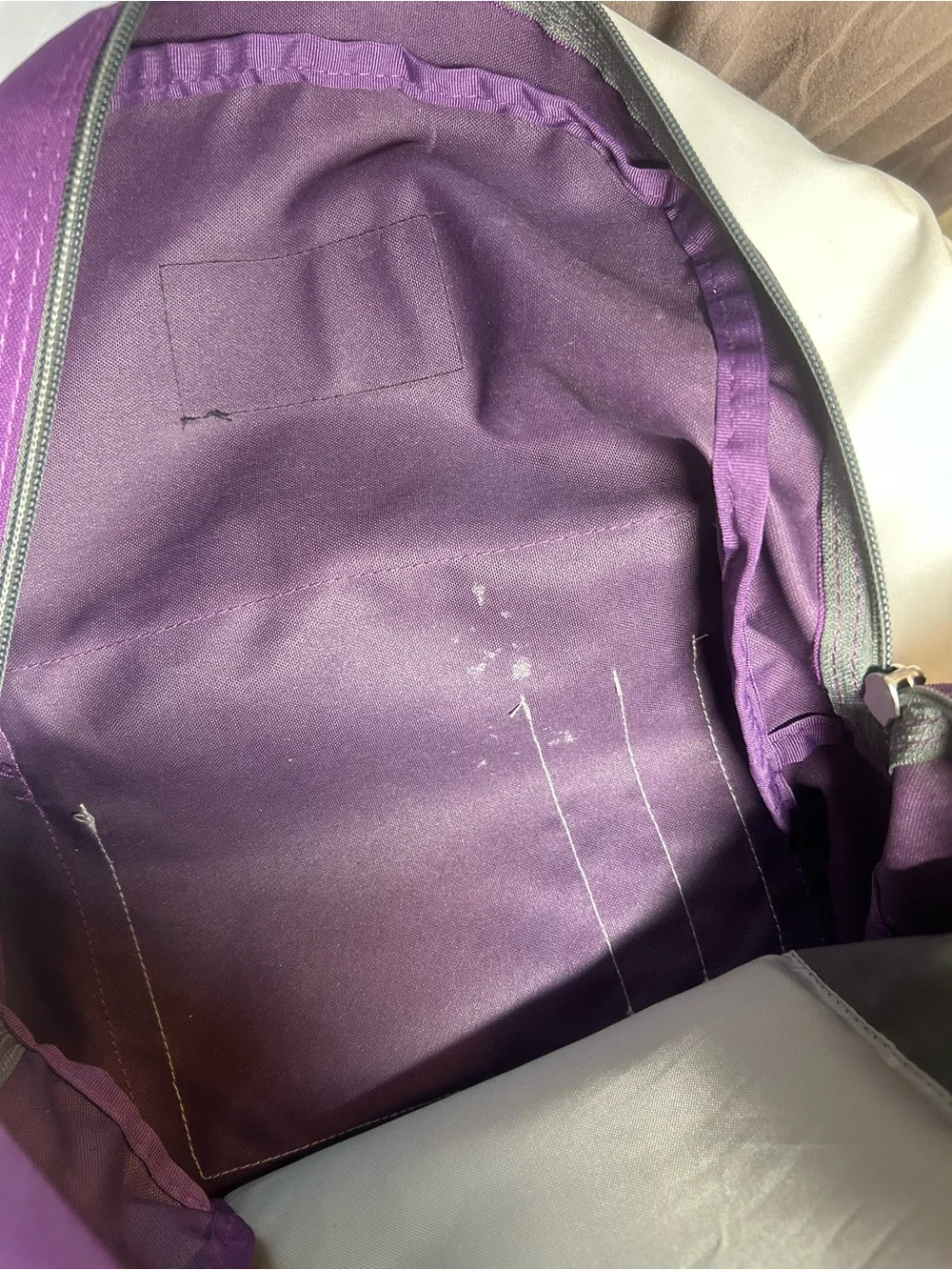 Jansport Purple Everyday Backpack